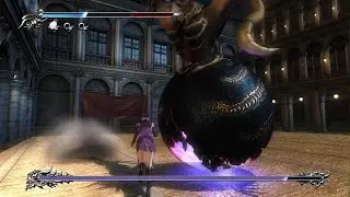 NINJA GAIDEN &Sigma;2_20250613160214