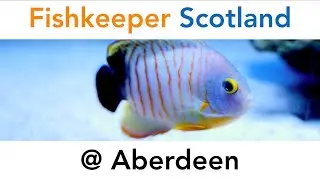 Fishkeeper Scotland @ Aberdeen