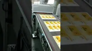 UV Lamination