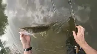 River Wye Light Lure fishing.