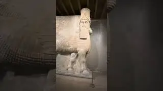 Assyrian Museum Chicago USA next