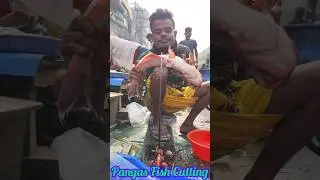 Wonderful Pangas Fish Cutting Techniques | Amazing Fish Cutting Skills