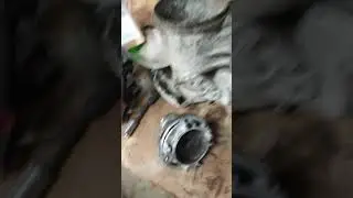 OMC water pump housing