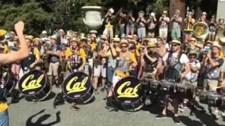 Cal Berkeley Straw Hat Band