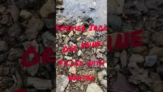Looking for Devil&rsquo;s Dice Pyrite at the Grubb Lake, Lancaster PA.