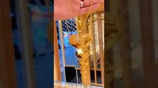Latest Gold Choti Design Hair Jewellery Collection || Loket Design SaudiyaArab 22k 916 ||  Lightcolr