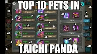 Taichi Panda | TOP 10 PETS | Best Pets
