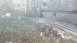 A walkthrough of a Japanese garden. See the rocks, stone lanterns, and traditional ground covers.