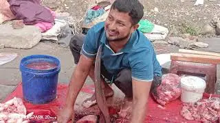 I never seen II giant Pangas fish cutting skill #fish #fishcutting #fishingvideo #fisning
