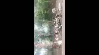anh akin mga alagang hayop