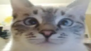 gtaonlinevideo5.mov