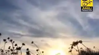 Video zaror daykay