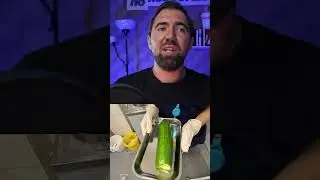 #mrtenmor #жопоновостям