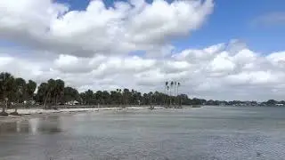 Windy St. Petersburg Tampa Bay Florida Palm Trees Swaying Fast Moving Clouds