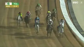 Prince Sultan Bin Abdulaziz World Cup G1