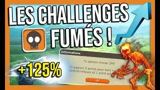 Les Challenges & Leurs Secrets sur Dofus R&eacute;tro + Calculer sa Moyenne de Challenge Facilement !