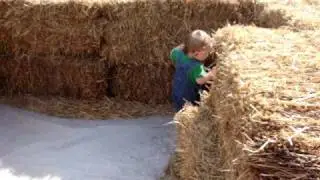 Elliot Haymaze