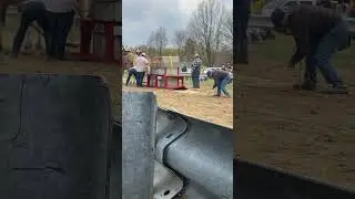 That was a lot of blocks on the boat #horse #drafthorses #pulls #belgian #horseshow