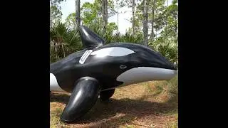 H2OGo Inflatable Orca Whale Ride-On Pool Toy from Bestway
