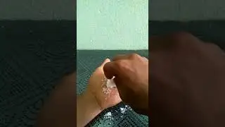 Fevicol vs Salt Experiment 😮🙄 #shorts