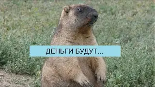 ЧЕМ ЗАКОНЧИЛАСЬ ИСТОРИЯ С ООО ПЕРСПЕКТИВА