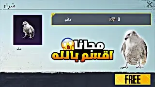 كيفية الحصول على الصقر مجانا 😱 طريقة الحصول على الصقر مجانا ثغرة سريه لم يخبرك بها احد 🔥 2025