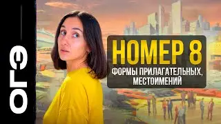 Номер 8 ОГЭ. Формы прилагательных, местоимений. Теория и практика