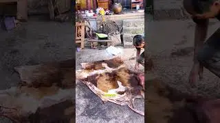 el mejor cuero al vapor de toda india🥵  #viral #datoscuriosos #india