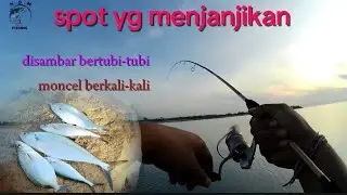 josssssss‼️spot yang menjanjikan #fishing #spotmancingdibali #mancing #mancingmaniabali #mancingbali