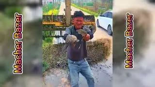 Real Fishing Adventure in the Rain | Bangla Vlog&rdquo;