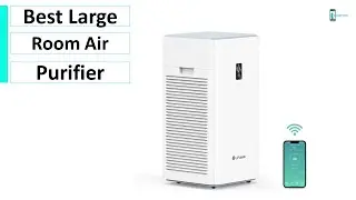 Lifubide Y1000 Review : Best Large Room Air Purifier 2024