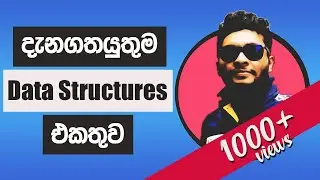 Top Data Structures every student should know ( Sinhala ) - For Beginners