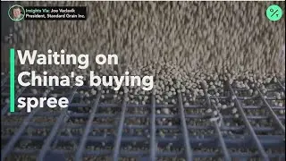 Cheaper prices and a record crop are keeping Brazil's soybeans competitive