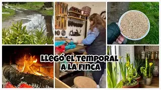 #214 🏡 Vientos fuertes y mucha lluvia 🌧️/ Trabajo en la finca 🏡/ Beicolaje ⚙️🤩
