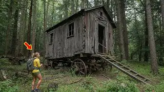 Lost in the Forest, She Found an Old Wagon Cabin &mdash; What Was Inside Waited for Over a Century