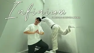 FREEHOLD CLUSTER LANDED - INFINIUM (DESMOND / LEE YONG) SINGAPORE PROPERTY LISTING