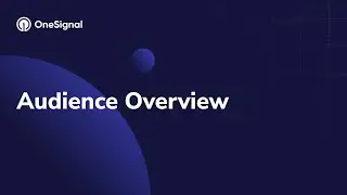 Audience Overview