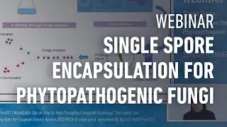 WEBINAR | Single spore encapsulation for phytopathogenic fungi, a review by Dr. Sehrish Iftikhar