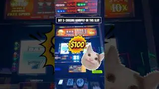 Day 3: CHASING HANDPAY JACKPOT #casino #shorts #viralshort #gambling #slot