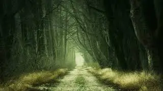 Transport Aerian -  Autumnal &not; Progressive Rock