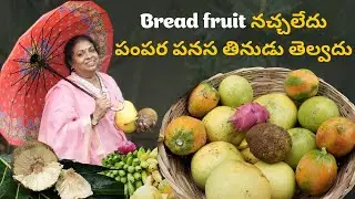 I don't like bread fruit, I don't know how to eat banana #harvest #fruit #garden #breadfruit #rain