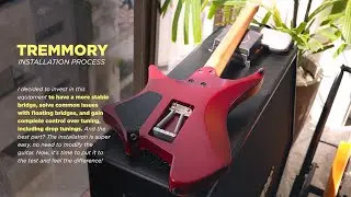Installing a TREMMORY on a .strandberg*  | Demo + Review