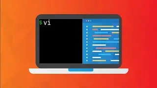 vi tutorial | remote flag