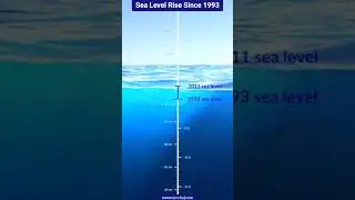 Global Sea Level Rise Between 1993 and 2022