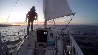 Sailing Off Anchor Singlehanded with Pauly Dangerous and Sobrius