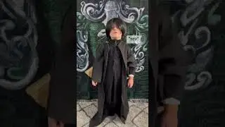 Snape Costume - Harry Potter