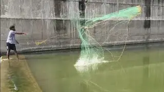 Village Style Net Fishing at Penna Barrage | Desi Fishing