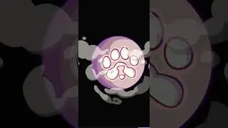 Paws wallet connect problem/solana wallet connect problem/how to connect wallets on paws/Solana wall