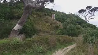 Matapouri Bay trail from Whale bay