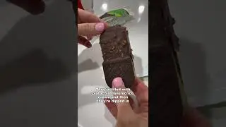 Dubai chocolate ice cream sandwich in Costco 🍫 #dubaichocolate #dubaichocolateicecream #costcofinds